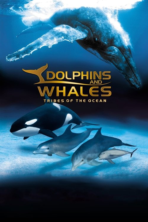 Dolphins and Whales 3D - Tribes of the Ocean poster