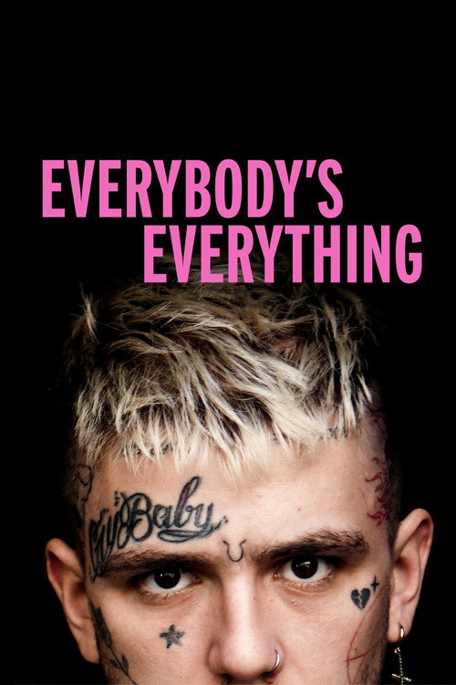 Everybody's Everything poster