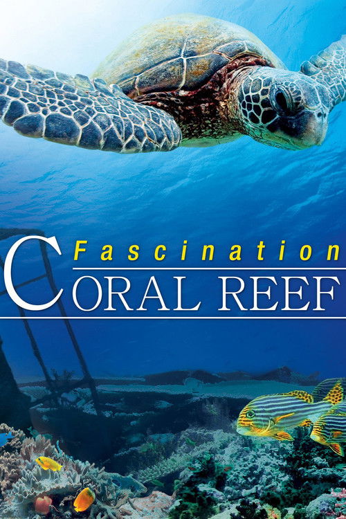 Fascination Coral Reef 3D poster