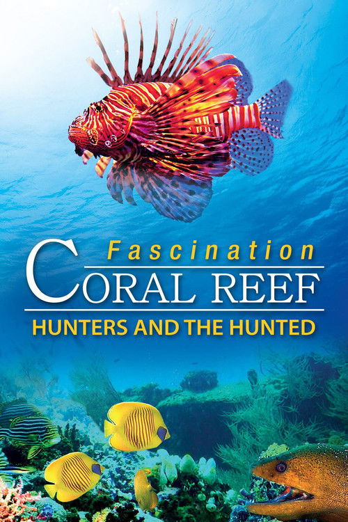 Fascination Coral Reef 3D - Hunters & the Hunted poster