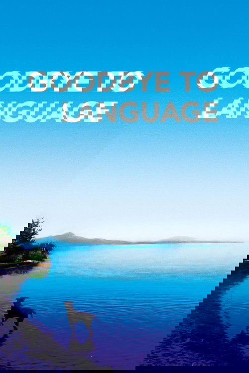 Goodbye to Language poster