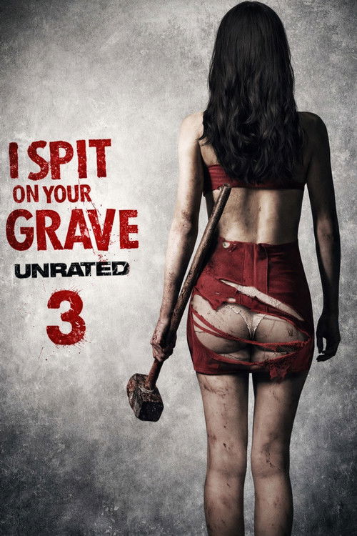 I Spit on Your Grave 3 - Vengeance Is Mine poster