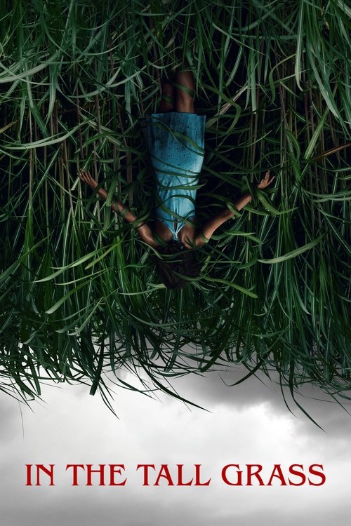In The Tall Grass poster