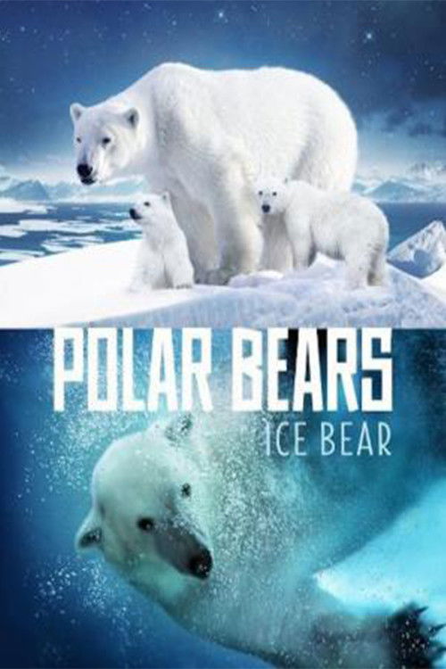 Polar Bears - Ice Bear poster